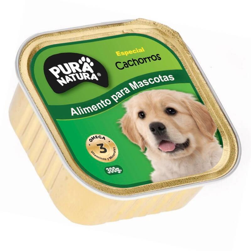 perro cachorro