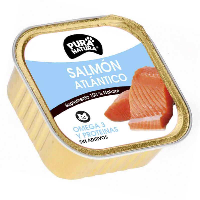 los gatos pueden comer salmon?