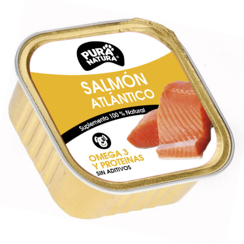 salmon para perros