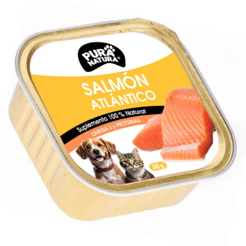 salmón atlántico perros y gatos