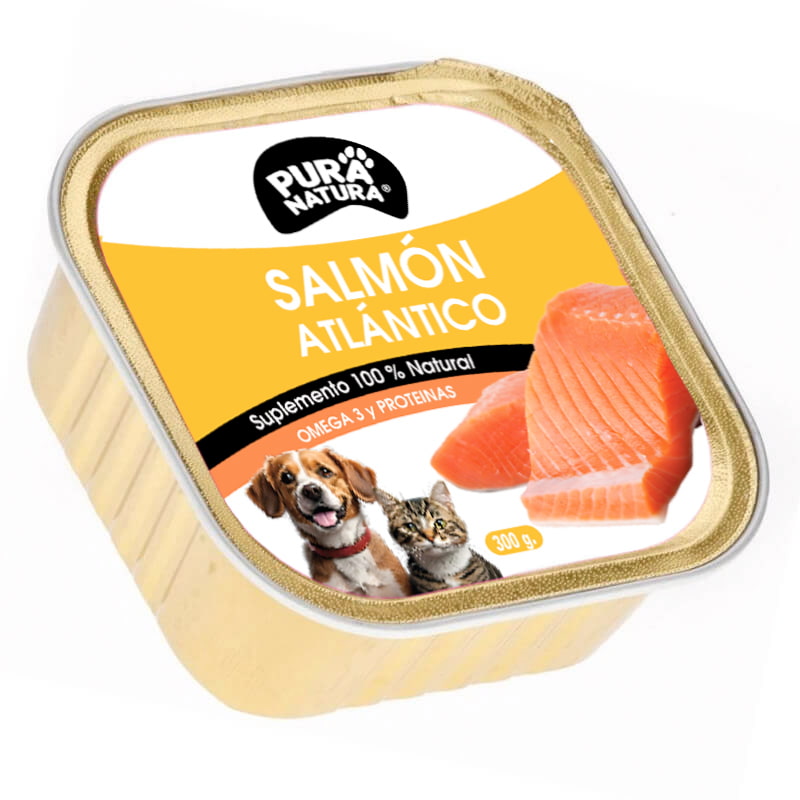salmón atlántico perros y gatos